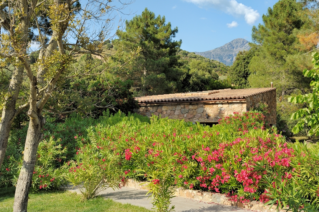 G�te � Serriera en Corse du Sud -20011 : s�jour/cuisine