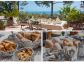 Chambres d'hôtes à Favone, Corse-du-Sud, labellisées Gîtes de France : Terrasse Petit Dejeuner Chambre d'hotes Favone Chambres d'hôtes à Favone, Corse-du-Sud, labellisées Gîtes de France : Terrasse Petit Dejeuner Chambre d'hotes Favone