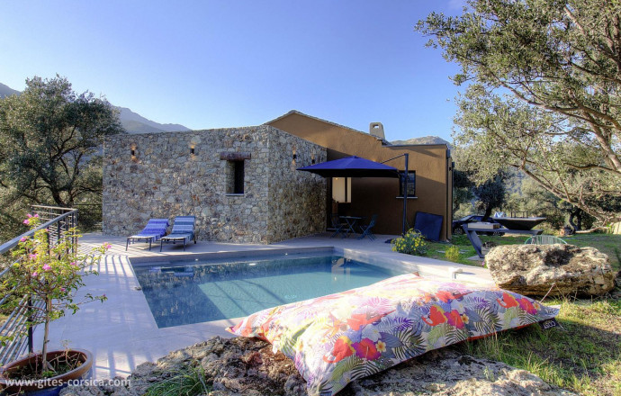 G&icirc;te n&deg;64241 SAN GAVINO DI TENDA - Corse - Villa Petraghja - photo