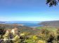 Gite 28221-Viggianello-le-grand-valinco-corse-du-sud-labellis&eacute;-gites-de-france la vue
