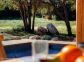 G&icirc;te &agrave; Speloncato, Balagne, Haute-Corse, labellis&eacute; G&icirc;tes de France : piscine et terrasse