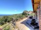 gite-19342-viggianello-grand-valinco-corse-du-sud-labellisé-gite-de-france-la terrasse gite-19342-viggianello-grand-valinco-corse-du-sud-labellisé-gite-de-france-la terrasse