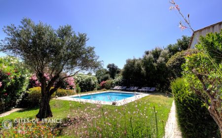 G&icirc;te n&deg;60501 Montegrosso - Corse - G&icirc;te &agrave; Montegrosso, Balagne, Haute-Corse, labellis&eacute; G&icirc;tes de France : le jardin et la piscine