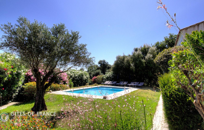 G&icirc;te n&deg;60501 MONTEGROSSO - Corse - Le 60501 - G&icirc;te &agrave; Montegrosso, Balagne, Haute-Corse, labellis&eacute; G&icirc;tes de France : le jardin et la piscine