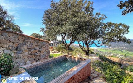 Gite 28222-Viggianello-le-grand-valinco-corse-du-sud-labellisé-gites-de-france la piscine Gîte n°28222 Viggianello - Corse - Gite 28222-Viggianello-le-grand-valinco-corse-du-sud-labellisé-gites-de-france la piscine