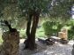Gîte A Casa Bianca - Location de vacances à Pigna en Corse, Gîtes de France : terrasse à la fontaine sous l'olivier. Gîte A Casa Bianca - Location de vacances à Pigna en Corse, Gîtes de France : terrasse à la fontaine sous l'olivier.