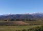 Gîte à Ghisonaccia, Côte Orientale, Haute-Corse, labellisé Gîtes de France : la vue de la terrasse sur les champs d'immortelle Gîte à Ghisonaccia, Côte Orientale, Haute-Corse, labellisé Gîtes de France : la vue de la terrasse sur les champs d'immortelle