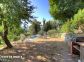 Gite &agrave; San Gavino di Carbini, Corse du Sud, labellis&eacute; G&icirc;tes de France : le jardin commun