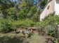 Chambres d'hôtes à Favone, Corse-du-Sud, labellisées Gîtes de France : Jardin Collection d'Agrumes Chambres d'hôtes à Favone, Corse-du-Sud, labellisées Gîtes de France : Jardin Collection d'Agrumes