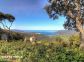 Gite 28221-Viggianello-le-grand-valinco-corse-du-sud-labellis&eacute;-gites-de-france la vue