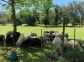 Gite &agrave; Cauro, Le Grand Ajaccio, Le Sud Corse, labellis&eacute; G&icirc;tes de France : lles animaux