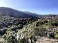 G&icirc;te &agrave; San Gavino Di Tenda, Le Grand Bastia, Haute-Corse, labellis&eacute; G&icirc;tes de France : la vue 