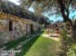 Gite 28222-Viggianello-le-grand-valinco-corse-du-sud-labellis&eacute;-gites-de-france la terrasse jardin