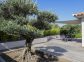 gite - Villa Lucca - FIGARI - Corse