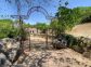 Gîte à Sollacaro, le Grand Valinco, Corse-du-Sud, labellisé Gîtes de France : l'entrée du caseddu Gîte à Sollacaro, le Grand Valinco, Corse-du-Sud, labellisé Gîtes de France : l'entrée du caseddu