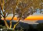 Gite 28221-Viggianello-le-grand-valinco-corse-du-sud-labellis&eacute;-gites-de-france la vue
