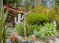 Chambres d'hôtes à Favone, Corse-du-Sud, labellisées Gîtes de France : le jardin de Cactés Chambres d'hôtes à Favone, Corse-du-Sud, labellisées Gîtes de France : le jardin de Cactés