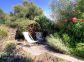 G&icirc;te &agrave; Montegrosso, Balagne, Haute-Corse, labellis&eacute; G&icirc;tes de France : le jardin