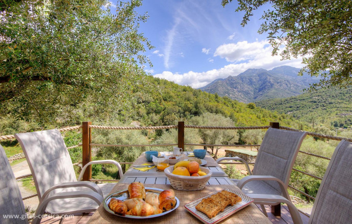 Maison d'hôtes à Manso, Balagne, Haute-Corse, labellisée Gîtes de France : le petit déjeuner Chambre d'hôtes n°61541 MANSO - Corse - L'Oliveraie du Fango - Maison d'hôtes à Manso, Balagne, Haute-Corse, labellisée Gîtes de France : le petit déjeuner