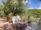 Maison d'hôtes à Manso, Balagne, Haute-Corse, labellisée Gîtes de France : le petit déjeuner Maison d'hôtes à Manso, Balagne, Haute-Corse, labellisée Gîtes de France : le petit déjeuner