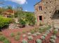 gite - Casa di Sognu - SANTO PIETRO DI TENDA - Corse