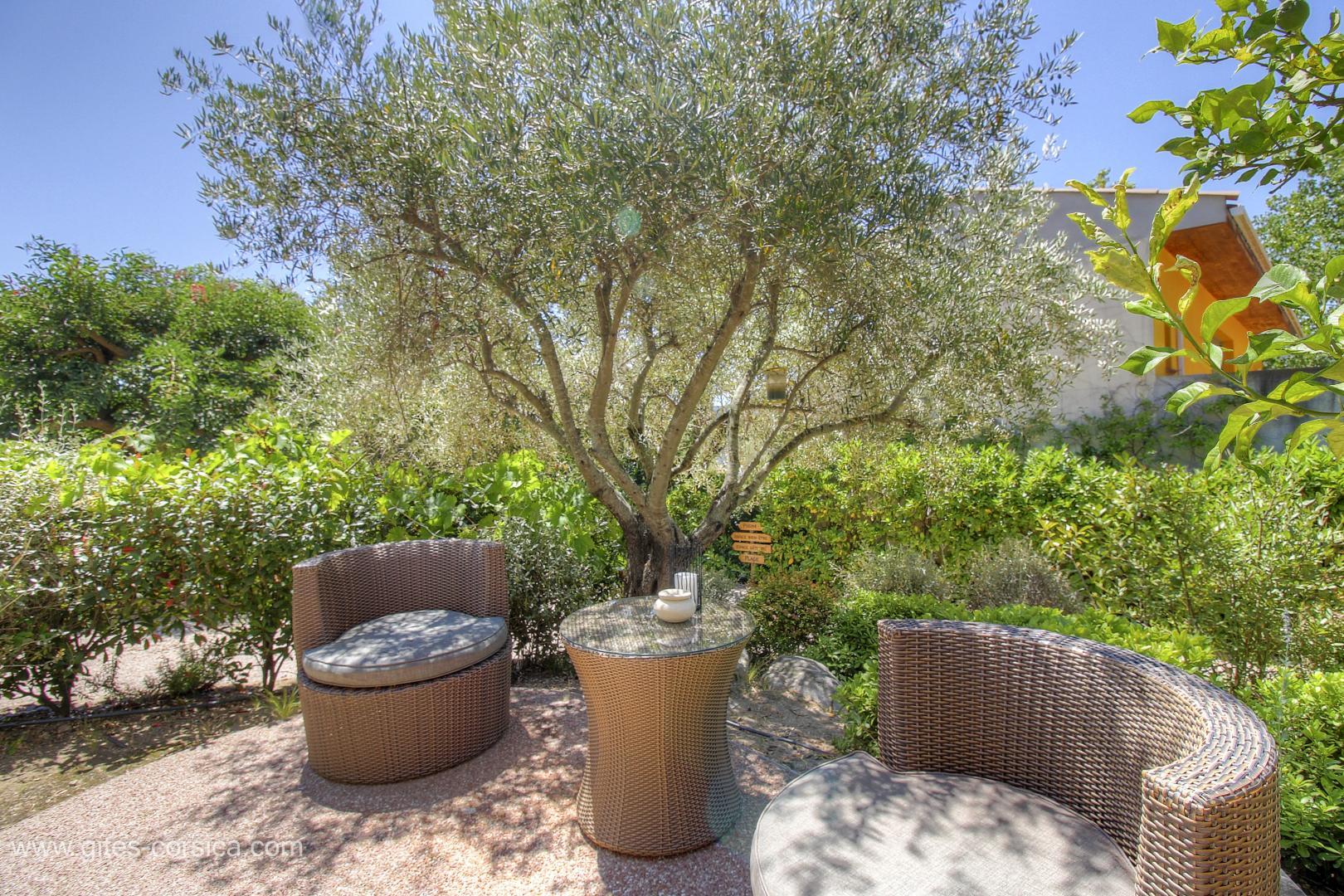 Chambres d'hôtes à Favone, Corse-du-Sud, labellisées Gîtes de France : Suite Alimea Terrasse et Entree Independantes photo 14