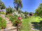 Chambres d'hôtes à Favone, Corse-du-Sud, labellisées Gîtes de France : le jardin de la propriété Chambres d'hôtes à Favone, Corse-du-Sud, labellisées Gîtes de France : le jardin de la propriété