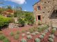 gite - Casa di Sognu - SANTO PIETRO DI TENDA - Corse