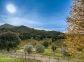 Gite &agrave; Moca Croce, Labelis&eacute; G&icirc;tes de France, Corse du Sud : la vue depuis la propri&eacute;t&eacute;