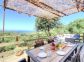 gite-19342-viggianello-grand-valinco-corse-du-sud-labellisé-gite-de-france-la terrasse gite-19342-viggianello-grand-valinco-corse-du-sud-labellisé-gite-de-france-la terrasse