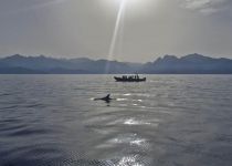 BOAT TOUR: A GRAND TOUR OF THE GULF AT SUNSET&nbsp;(CCGTSA) CARGESE - BOAT TOUR: A GRAND TOUR OF THE GULF AT SUNSET