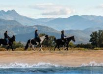 RANDONN&Eacute;E &Agrave; CHEVAL, PAUSE GASTRONOMIQUE ET CHANTS CORSES&nbsp;(RANDOCHEV) SERRA DI FERRO - RANDONN&Eacute;E &Agrave; CHEVAL, PAUSE GASTRONOMIQUE ET CHANTS CORSES