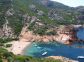 CALVI